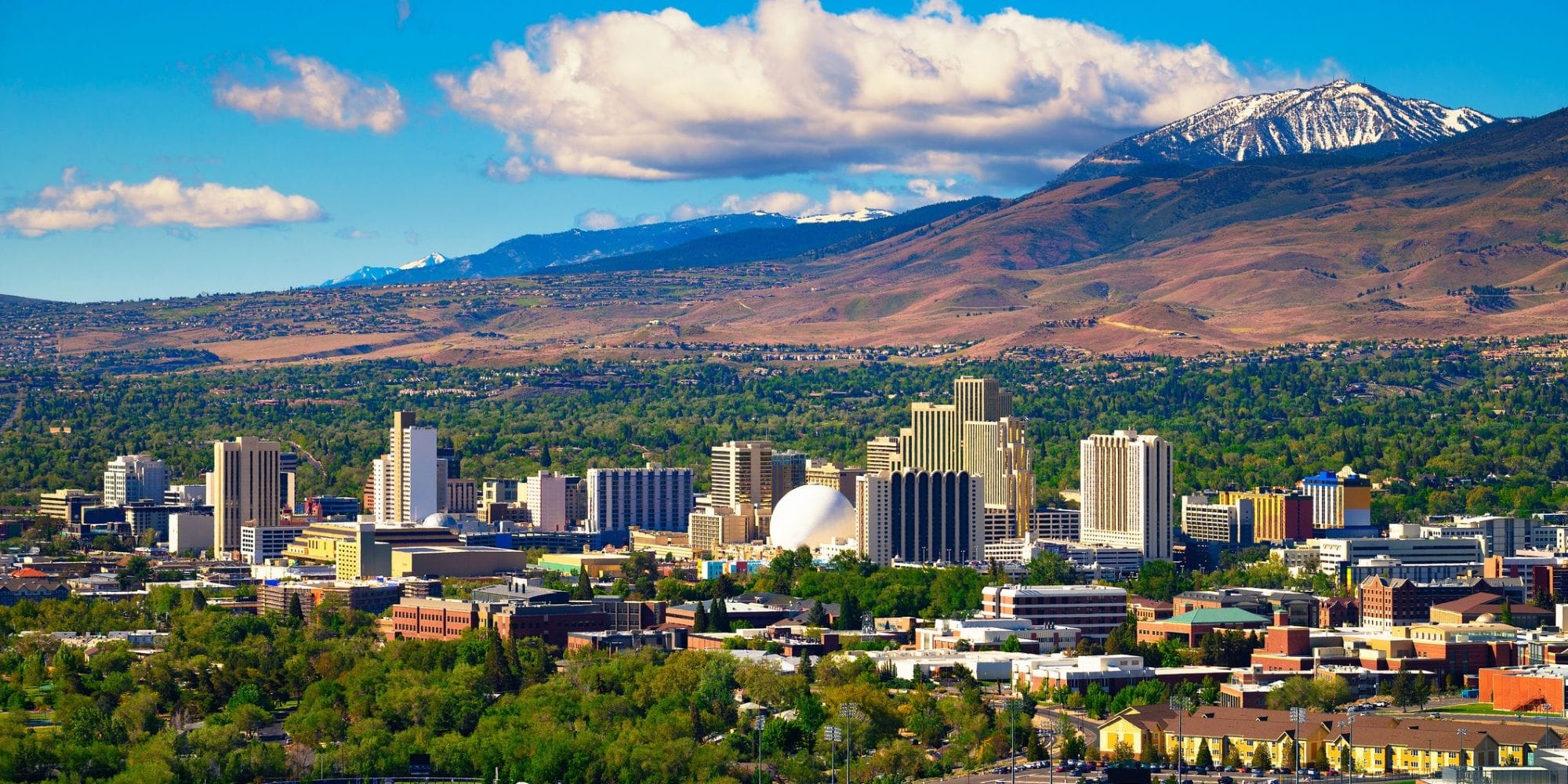 Washoe County Local.